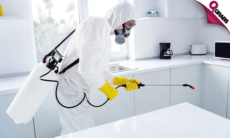 Pest Control: Cockroach & Bedbug Treatment Services!